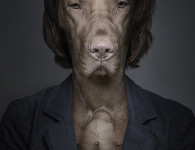SEBASTIAN-MAGNANI7